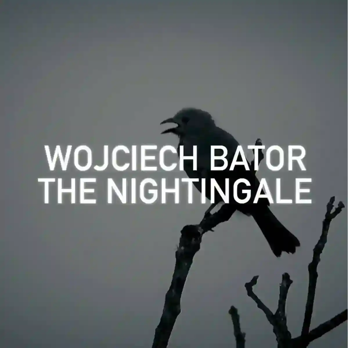 Wojciech Bator - The Nightingale The Nightingale